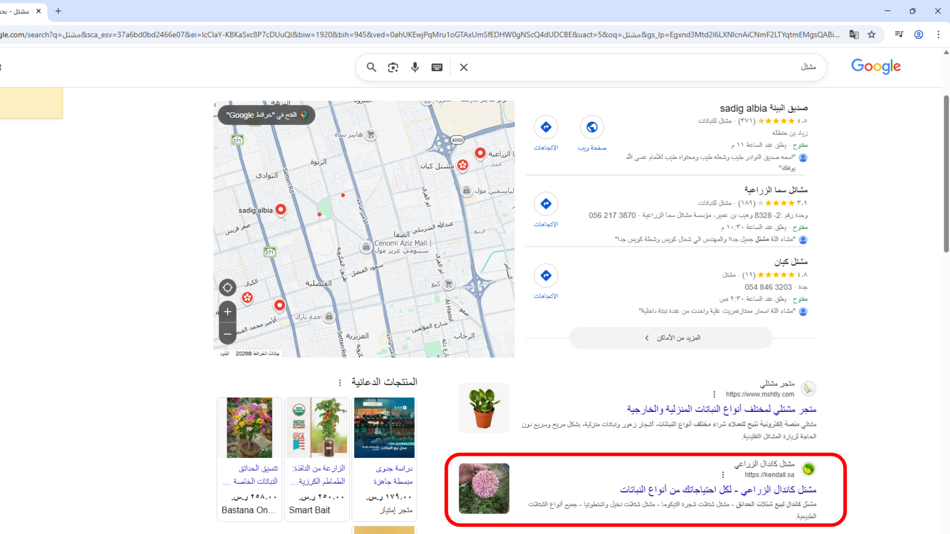 مثال على ظهور النتائج في جوجل